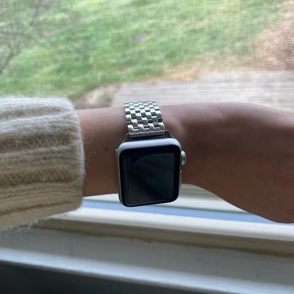 Quince 38-42mm Apple Watch Stainless Steel Watch Band - Picture 9 of 13